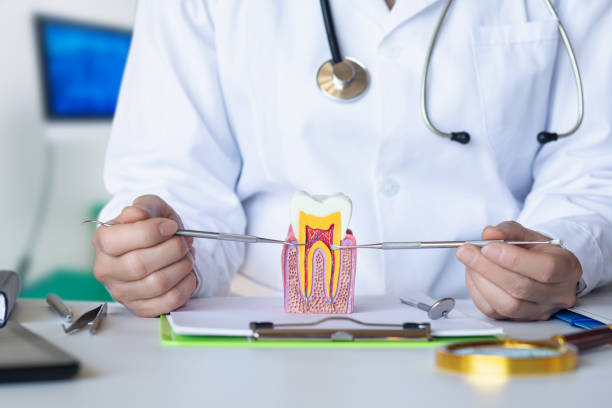 Best Emergency Dental Extractions in Staunton, IL